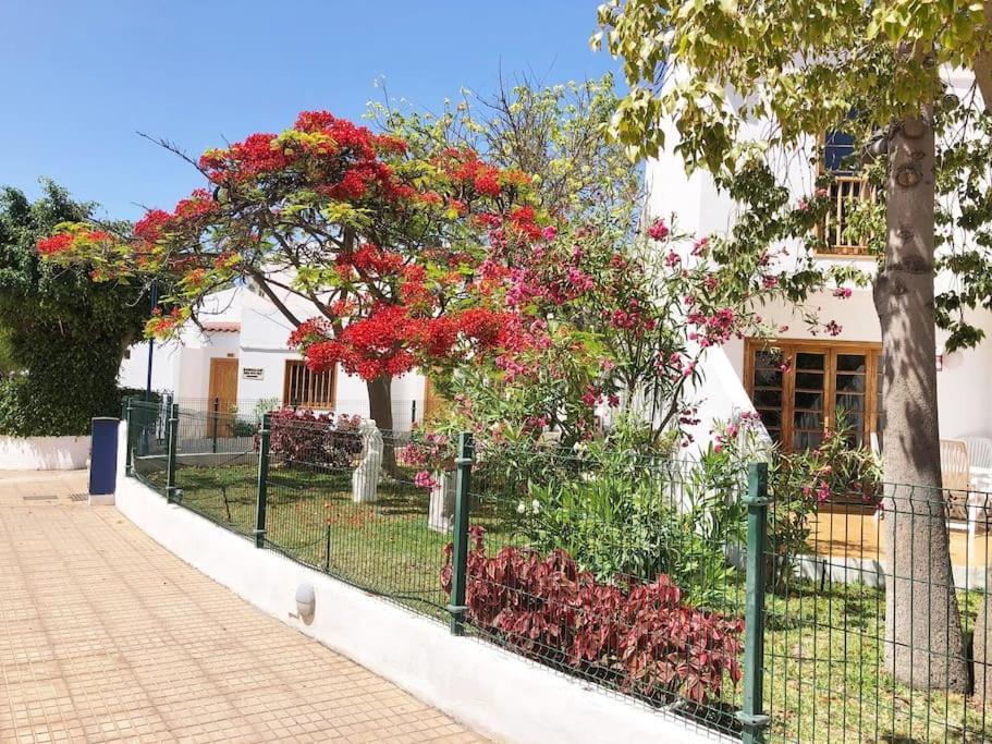 Apartamento Lucia Garden City Con Piscina Climatizada Playa Feñabe 외부 사진