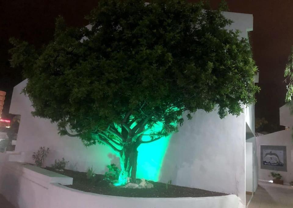 Apartamento Lucia Garden City Con Piscina Climatizada Playa Feñabe 외부 사진