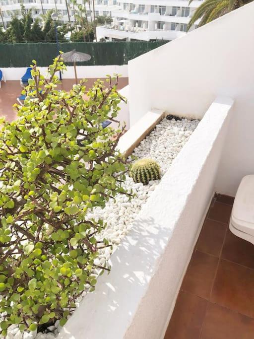 Apartamento Lucia Garden City Con Piscina Climatizada Playa Feñabe 외부 사진