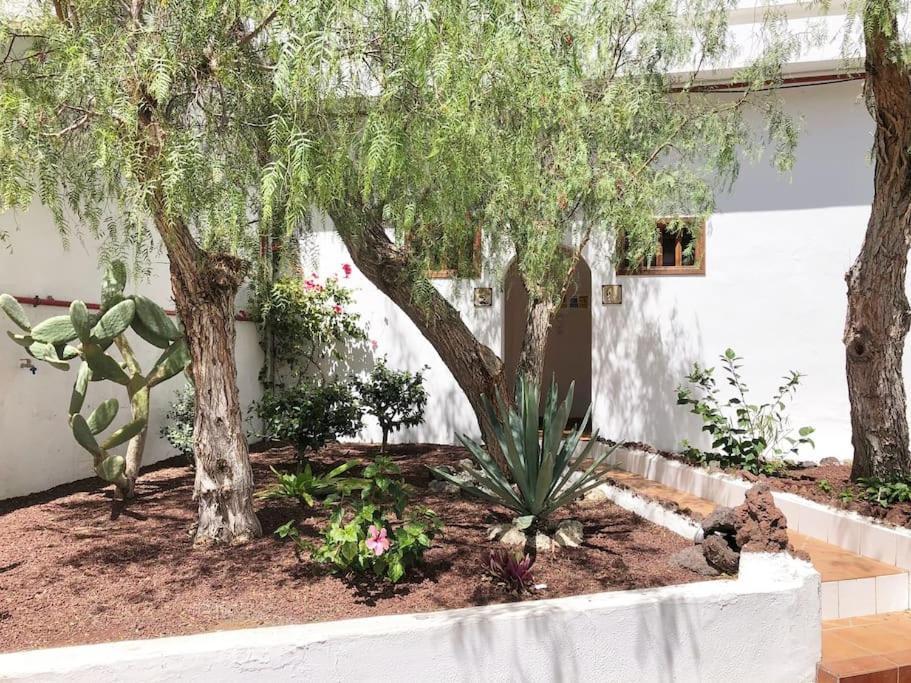 Apartamento Lucia Garden City Con Piscina Climatizada Playa Feñabe 외부 사진