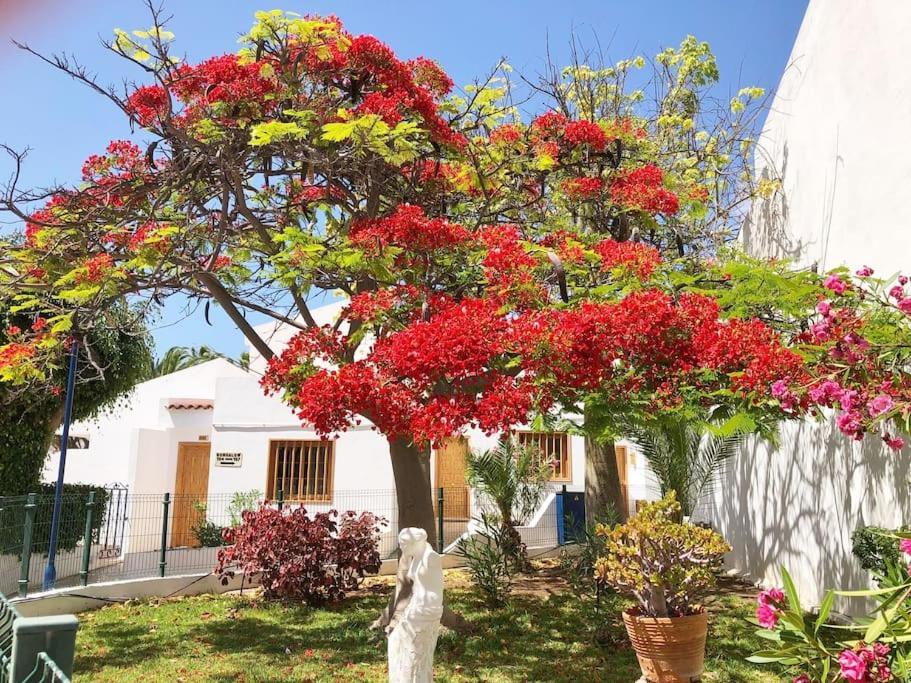 Apartamento Lucia Garden City Con Piscina Climatizada Playa Feñabe 외부 사진