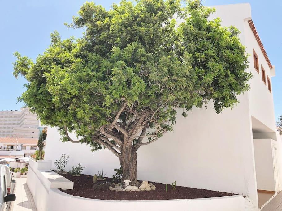 Apartamento Lucia Garden City Con Piscina Climatizada Playa Feñabe 외부 사진